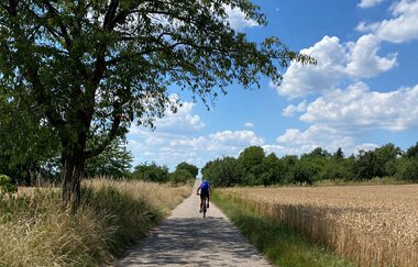 Schindelberg-Loop | © Kraichgau-Stromberg Tourismus e.V.