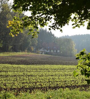 Schloss- und Mühlen Tour | © Stadt Sinsheim