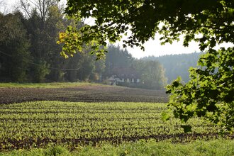 Schloss- und Mühlen Tour | © Stadt Sinsheim