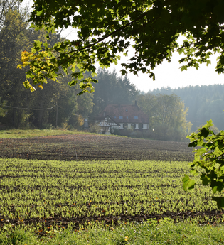 Schloss- und Mühlen Tour | © Stadt Sinsheim