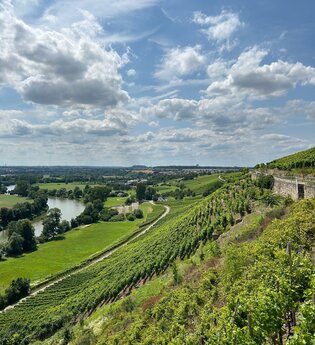 Schlossbergrunde Kleiningersheim