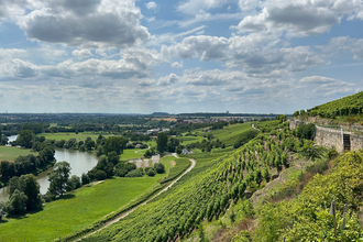 Schlossbergrunde Kleiningersheim