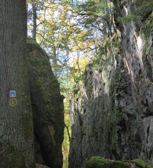 Schriesheim - Spatschlucht | © Landratsamt Rhein-Neckar-Kreis