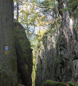 Schriesheim - Spatschlucht | © Landratsamt Rhein-Neckar-Kreis