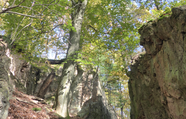 Schriesheim - Spatschlucht | © Landratsamt Rhein-Neckar-Kreis