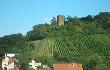 SD1 - Herrliches Sternenfels und Diefenbach