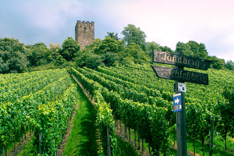 SD3 - Erkundungstour durch Sternenfels | © Land der 1000 Hügel - Kraichgau-Stromberg