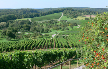 SD3 - Erkundungstour durch Sternenfels | © Land der 1000 Hügel - Kraichgau-Stromberg