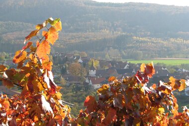 © Stadt Sachsenheim