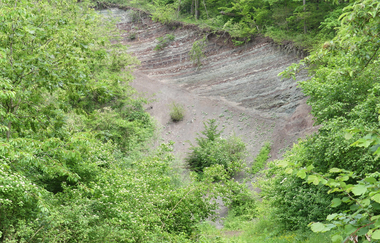 SH1 - Rundwanderweg Historisches Kirbachtal | © Stadt Sachsenheim