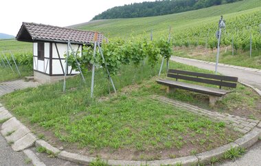 SH2 - Hohenhaslacher Genuss-Weg | © Stadt Sachsenheim