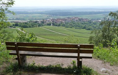 SH2 - Hohenhaslacher Genuss-Weg | © Stadt Sachsenheim