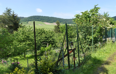 SH3 - Hohenhaslacher Wein-Wald-Weg | © Stadt Sachsenheim