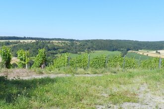 SH6 - Häfnerhaslacher Wald- und Seeweg (kleine Runde) | © Stadt Sachsenheim
