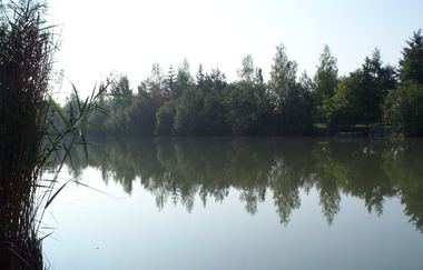 SH6 - Häfnerhaslacher Wald- und Seeweg (kleine Runde) | © Stadt Sachsenheim