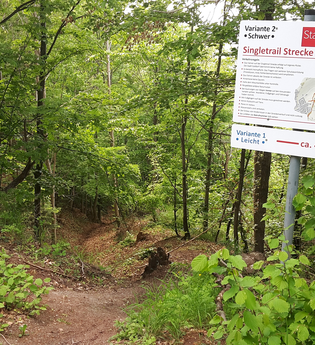 Gaildorfer Singletrail am Kirchberg | © Petra Natzkowski