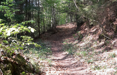 Gaildorfer Singletrail am Kirchberg | © Petra Natzkowski