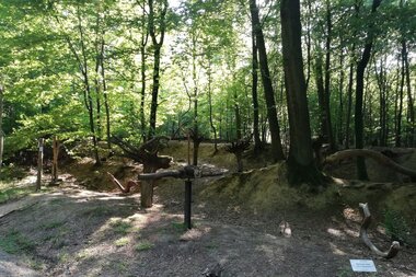 Sinnenpfad Neckargemünd | © Tourist-Informatin Neckargemünd