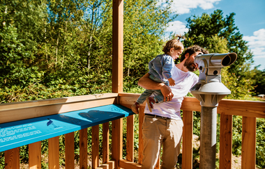 Mudau „Rehm“ Beobachten & Bestimmen | © Joachim & Susanne Schulz Stiftung