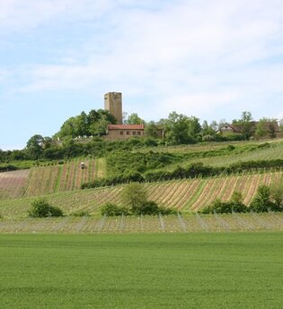 Spaziergang zur Ravensburg | © Gemeinde Sulzfeld