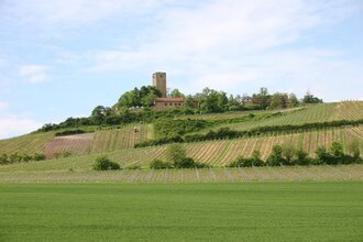 Spaziergang zur Ravensburg | © Gemeinde Sulzfeld