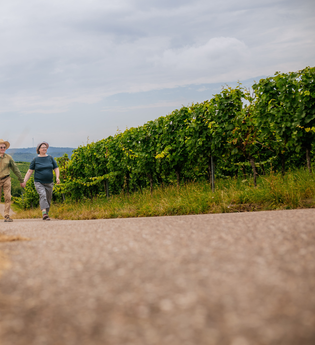 Wanderweg Sperbelhau, Bretzfeld, Hohenlohe | © Hohenloher Perlen