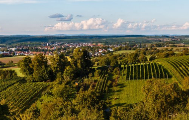 Stadtinfo, Weinplateau, Waldenserhäusle | © Land der 1000 Hügel - Kraichgau-Stromberg