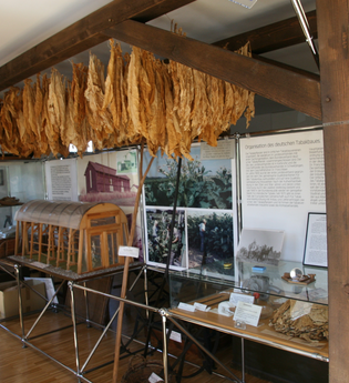 Stadtrundgang Hockenheim hören | © Beate Otto