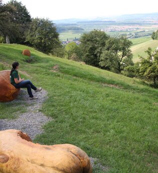 Stadtspaziergang "Löwensteiner Aussichtsplätze" | © Touristikgemeinschaft HeilbronnerLand e.V.