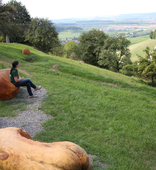 Stadtspaziergang "Löwensteiner Aussichtsplätze" | © Touristikgemeinschaft HeilbronnerLand e.V.