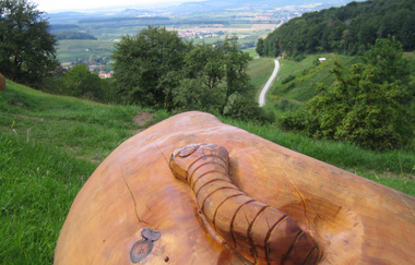 Stadtspaziergang "Löwensteiner Aussichtsplätze" | © Touristikgemeinschaft HeilbronnerLand e.V.