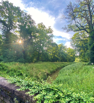 Blick auf den Hardtbach bei Oftersheim | © Tourist Info Schwetzingen