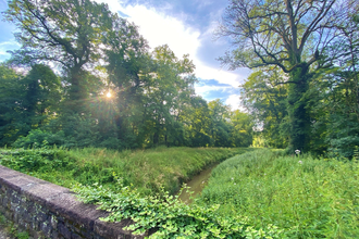 Blick auf den Hardtbach bei Oftersheim | © Tourist Info Schwetzingen