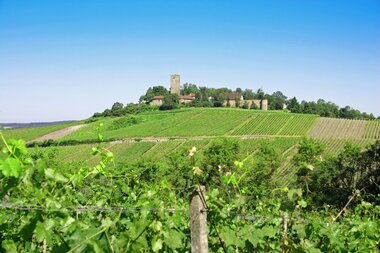 © Land der 1000 Hügel - Kraichgau-Stromberg