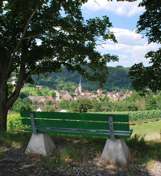 Tauberschwarz Rundwanderweg und Lehrpfad | © Liebliches Taubertal