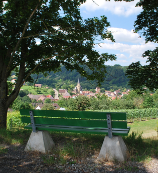 Tauberschwarz Rundwanderweg und Lehrpfad | © Liebliches Taubertal