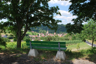 Tauberschwarz Rundwanderweg und Lehrpfad | © Liebliches Taubertal