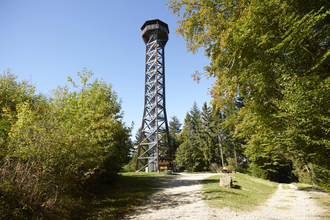 Zwei Waldwege führen zum Teltschikturm, der im Hintergrund zu sehen. | © Touristikgemeinschaft Odenwald e.V.