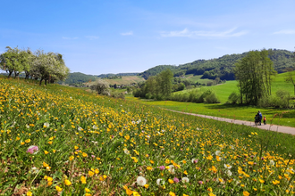 Teufelsteiner Runde | © Gemeinde Pfedelbach, Stephanie Rüdele