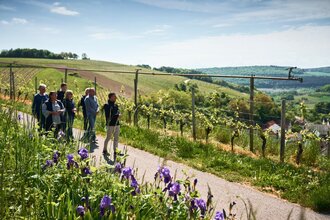 Themenroute Wein & Genuss