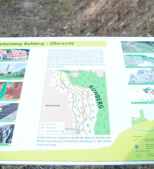 Auf den Informationstafeln finden Sie viele Informationen zur Geschichte der Stadt, dem Weinbau und Wissenswertes zu Flora und Fauna. | © RheinNeckarKreis