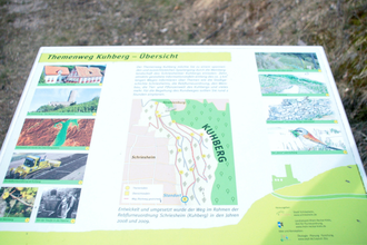 Auf den Informationstafeln finden Sie viele Informationen zur Geschichte der Stadt, dem Weinbau und Wissenswertes zu Flora und Fauna. | © RheinNeckarKreis