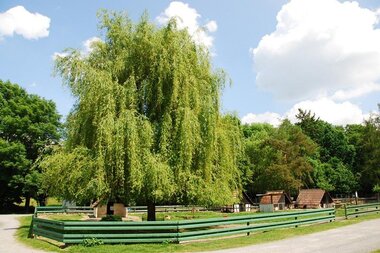 © Land der 1000 Hügel - Kraichgau-Stromberg