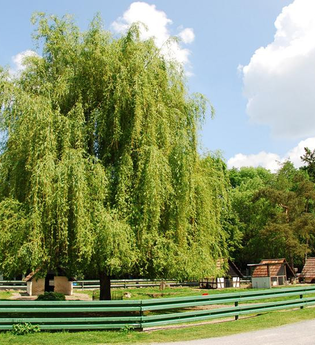 Tierparkweg | © Land der 1000 Hügel - Kraichgau-Stromberg