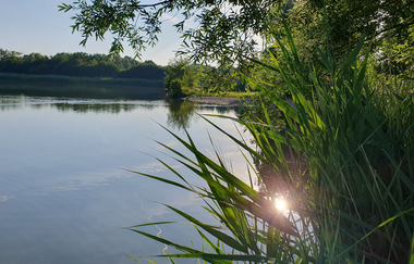 Starkholzbacher See | © Stadt Schwäbisch Hall