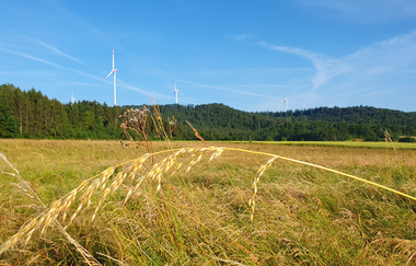 Tour 2 - Rund um den Starkholzbacher See | © Stadt Schwäbisch Hall