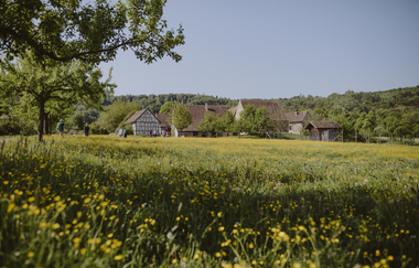 Blick auf die Häusersiedlung im Hohenloher Freilandmuseum | © Foto: Nico Kurth