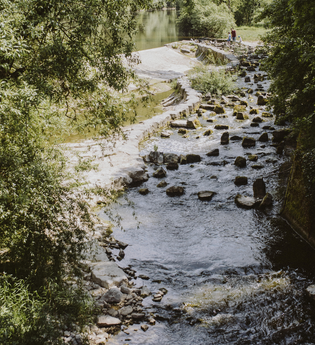 Kocher. Foto: Nico Kurth | © Foto: Nico Kurth