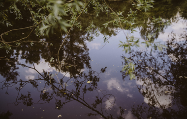 Blick in den Kocher. Foto: Nico Kurth | © Foto: Nico Kurth