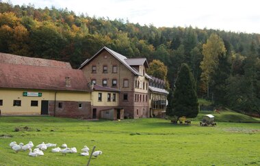 Tour 6: Kurvenreich im Spessart | © TOURISMUS REGION WERTHEIM GmbH